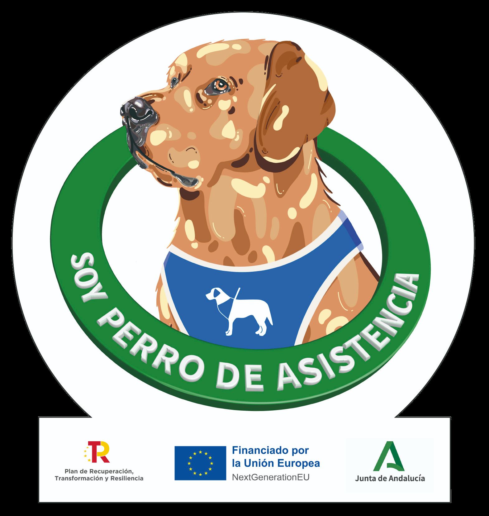 Centro Homologado Junta de Andalucía